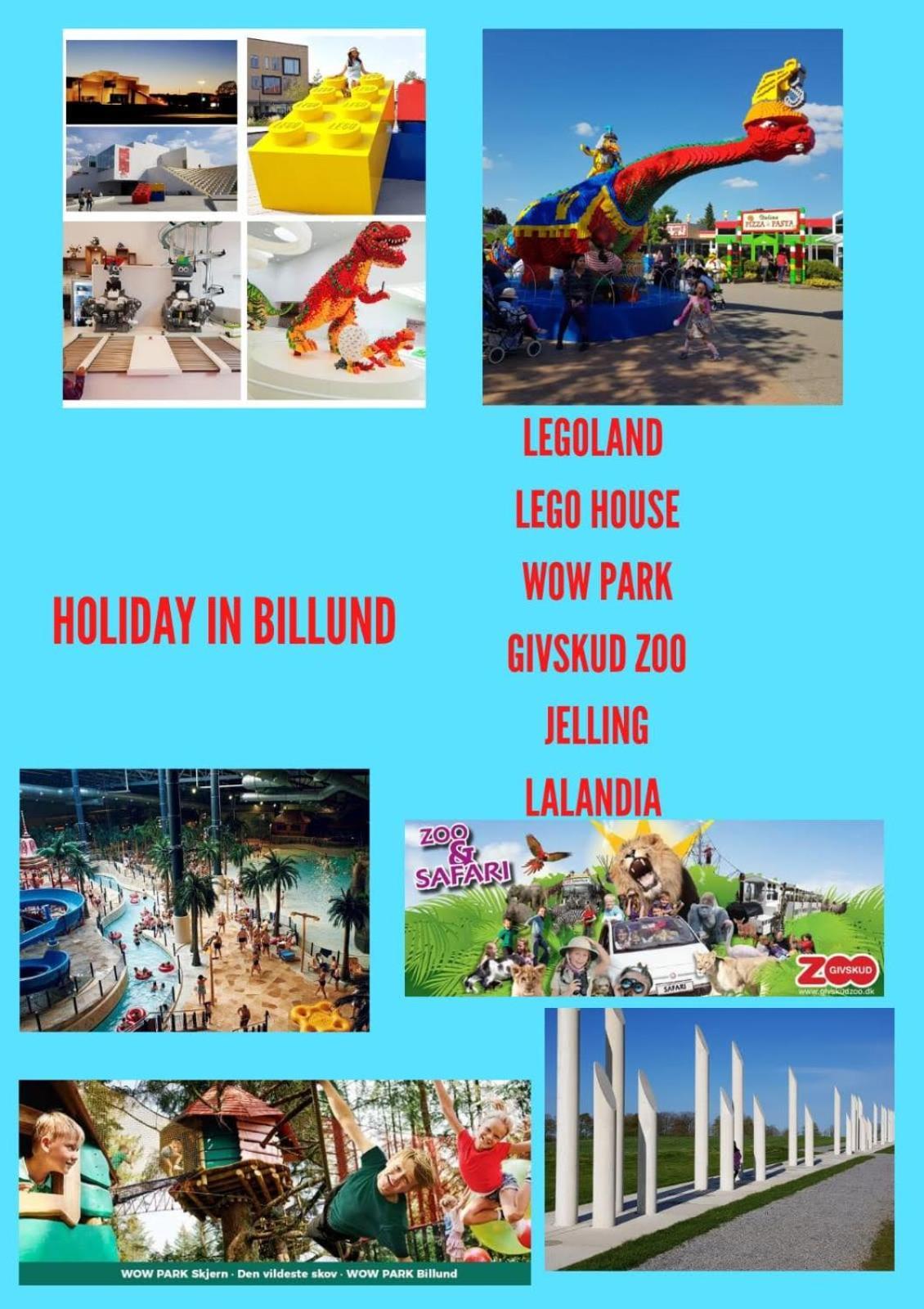 5 Minute Walk To Lego House - 50M2 Apartment With Garden / A Unit ビルン エクステリア 写真